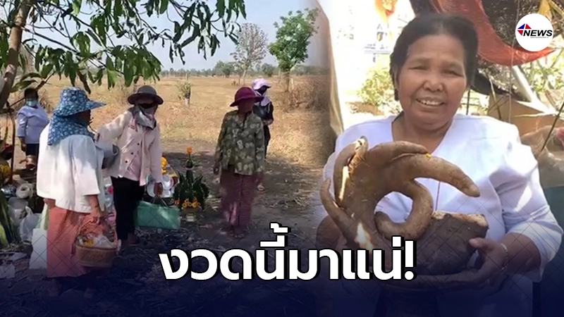 สาวฝันแปลก หญิงท้องแก่มาหักข้อมือ ก่อนไปขุดหัวมัน กลับเจอเรื่องประหลาด สาวฝันแปลก หญิงท้องแก่มาหักข้อมือ ก่อนไปขุดหัวมัน กลับเจอเรื่องประหลาด