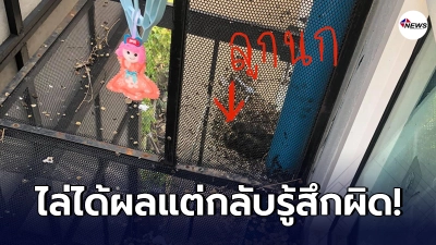 สาวรู้สึกผิดมหันต์ ตัดสินใจใช้ การบูร ไล่ "นกพิราบ" แม้ผลลัพธ์ออกมาดี สาวรู้สึกผิดมหันต์ ตัดสินใจใช้ การบูร ไล่ "นกพิราบ" แม้ผลลัพธ์ออกมาดี