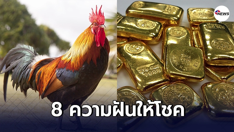 8 ความฝันตามคำทำนาย ที่เชื่อว่าจะมีโชคลาภ รับทรัพย์ก้อนโต