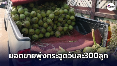 เปิดใจแม่ค้าขาย"น้ำมะพร้าว" ยอดพุ่งกระฉูด ชายไทยแห่ซื้อไม่หยุด เปิดใจแม่ค้าขาย"น้ำมะพร้าว" ยอดพุ่งกระฉูด ชายไทยแห่ซื้อไม่หยุด