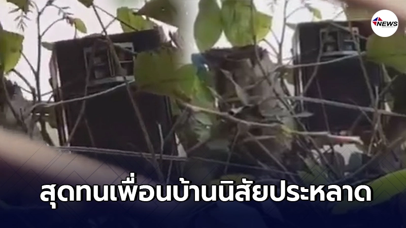 นายดาบ ถูกเพื่อนบ้านอดีตตำรวจยศใหญ่ วางลำโพงบนต้นไม้เปิดเพลงดังทั้งวัน