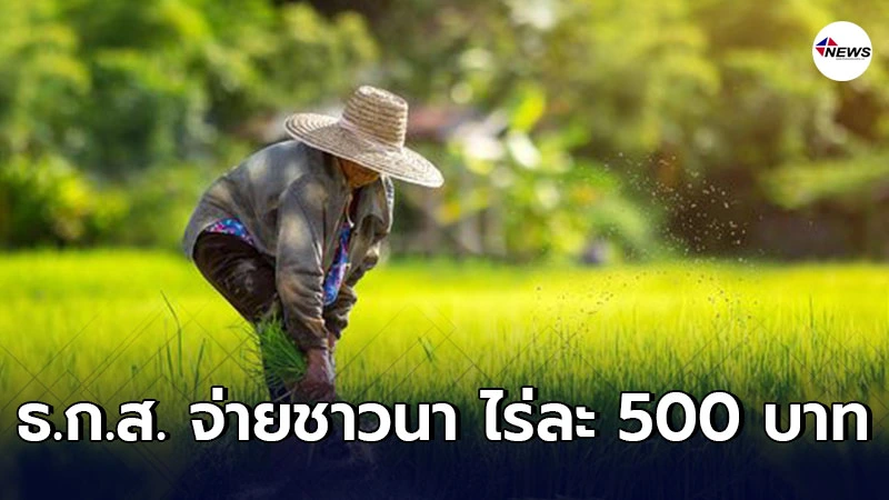 ธกส. จ่ายชาวนา ไร่ละ 500 โอนตรง 25 ก.พ. – 30 เม.ย. 64 ธกส. จ่ายชาวนา ไร่ละ 500 โอนตรง 25 ก.พ. – 30 เม.ย. 64