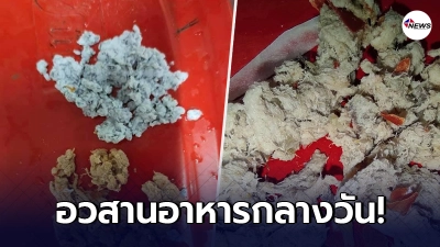 ว่อนภาพซื้อขนมจีนน้ำยา เจอรสชาติแปลกๆ เอามาดูมันคือทิชชู่? ว่อนภาพซื้อขนมจีนน้ำยา เจอรสชาติแปลกๆ เอามาดูมันคือทิชชู่?