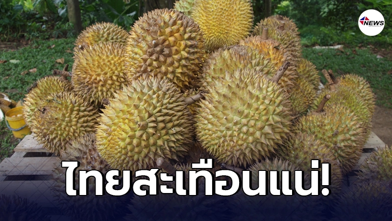 ไทยสะเทือน "จีน"ขอสัมปทานที่ดินลาว 3 หมื่นไร่ปลูกทุเรียนส่งออก ไทยสะเทือน "จีน"ขอสัมปทานที่ดินลาว 3 หมื่นไร่ปลูกทุเรียนส่งออก