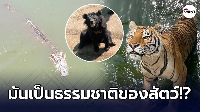 เจ้าของฟาร์มยืนยันอีกเสียง สัตว์ทุกตัวไม่ได้อดจนหิวโซจนเสียชีวิต เจ้าของฟาร์มยืนยันอีกเสียง สัตว์ทุกตัวไม่ได้อดจนหิวโซจนเสียชีวิต