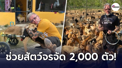หนุ่มสวีเดน อุทิศทั้งชีวิต ช่วยเหลือสัตว์จรจัด มากกว่า 2000 ตัวในไทย