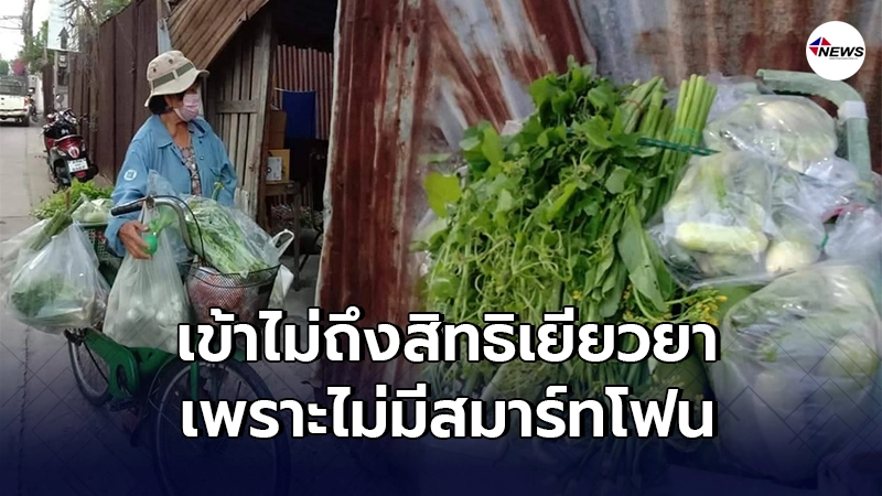 คุณป้าเข้าไม่ถึงสวัสดิการรัฐ สู้ชีวิตปั่นจักรยานขายผักสดเลี้ยงชีพ คุณป้าเข้าไม่ถึงสวัสดิการรัฐ สู้ชีวิตปั่นจักรยานขายผักสดเลี้ยงชีพ