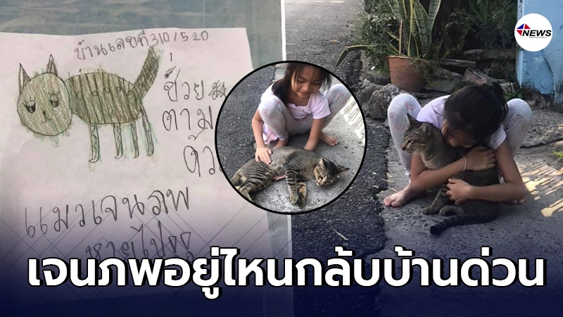 แม่เห็นแล้วสงสาร ลูกสาวเขียนใบปลิวด้วยลายมือ ตามหาเจนภพ เหมียวสุดรัก แม่เห็นแล้วสงสาร ลูกสาวเขียนใบปลิวด้วยลายมือ ตามหาเจนภพ เหมียวสุดรัก