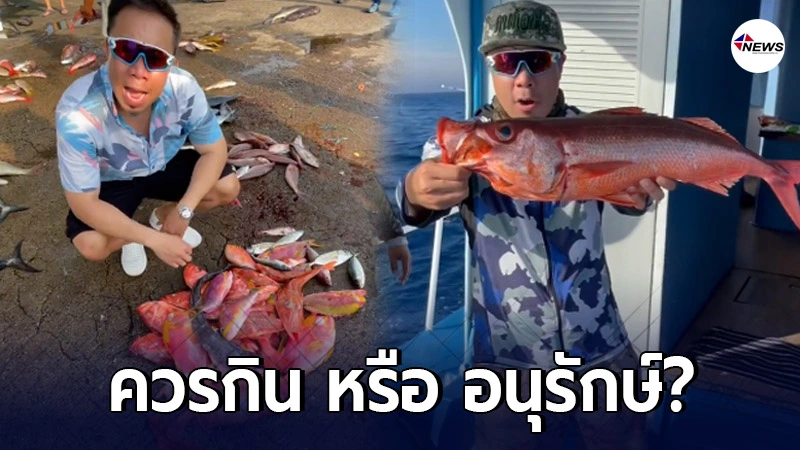 ชาวเน็ตจวกยับ ถามดีเจภูมิต้องกินทุกตัวไหม ปมล่องเรือเปิบปลาสวยงาม