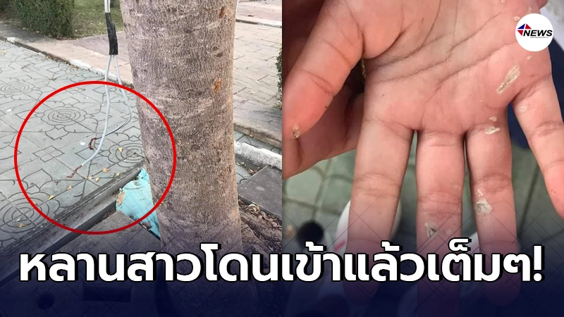 คนเป็นญาติรับไม่ได้ หลานสาวถูกไฟดูดที่เกาะกลางน้ำ คนเป็นญาติรับไม่ได้ หลานสาวถูกไฟดูดที่เกาะกลางน้ำ