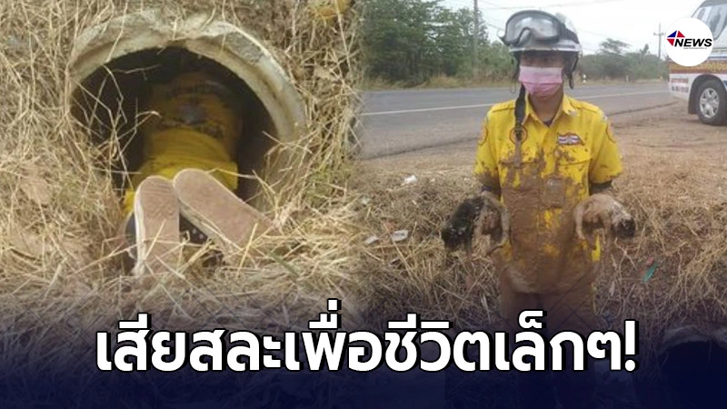 แม่หมาวิ่งลนลาน ขอให้คนช่วยลูก 6 ตัวที่ติดอยู่ในท่อ แม่หมาวิ่งลนลาน ขอให้คนช่วยลูก 6 ตัวที่ติดอยู่ในท่อ