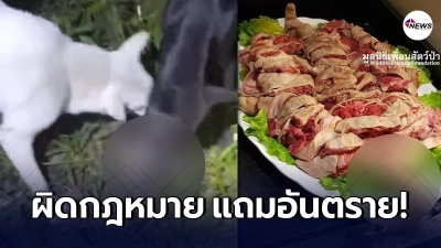 กรมอุทยานฯ โพสต์เตือน หลังว่อนคลิปหมากัดตัวนิ่ม