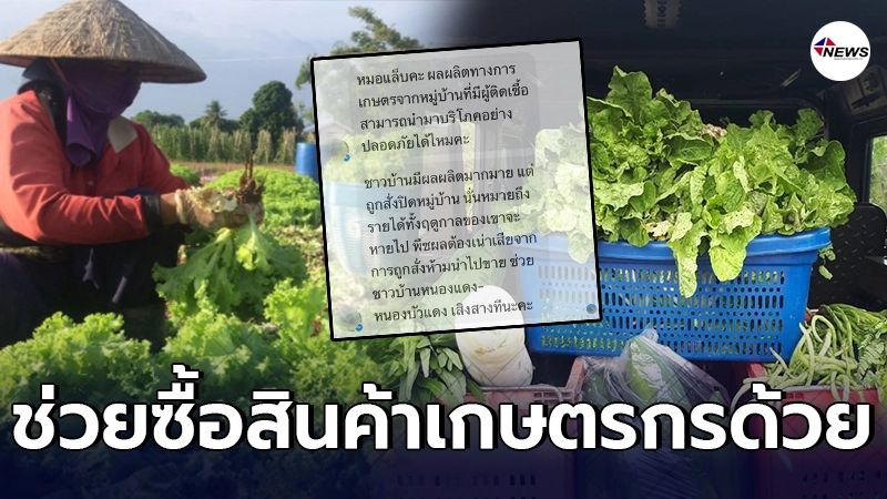 เกษตรกร จนปัญญาถูกสั่งปิดหมู่บ้าน พืชผักเน่าเสีย เกษตรกร จนปัญญาถูกสั่งปิดหมู่บ้าน พืชผักเน่าเสีย