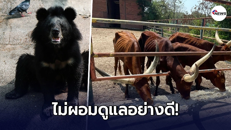 "กรมอุทยานฯ"โพสต์ภาพแจงสัตว์ในสวนสัตว์ไม่ได้ผอม หลังเจอคนร้องเรียน!