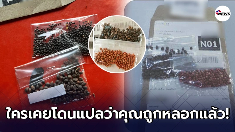 สาวงงหนักได้รับพัสดุปริศนา พร้อมเก็บเงินปลายทาง สาวงงหนักได้รับพัสดุปริศนา พร้อมเก็บเงินปลายทาง