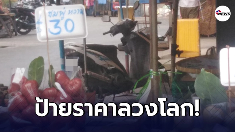 หนุ่มถึงจุดเดือด เห็นร้านค้าขาย ชมพู่ กิโลละ 30 ถึงเวลาจ่ายตังค์กลับไม่ใช่ หนุ่มถึงจุดเดือด เห็นร้านค้าขาย ชมพู่ กิโลละ 30 ถึงเวลาจ่ายตังค์กลับไม่ใช่