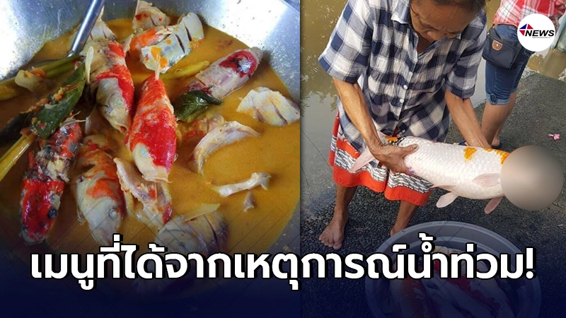 ชาวบ้านอินโดฯ สบโอกาศช่วงน้ำท่วมนับสัปดาห์ จับปลาที่ไหลมาตามน้ำลงกระทะ ชาวบ้านอินโดฯ สบโอกาศช่วงน้ำท่วมนับสัปดาห์ จับปลาที่ไหลมาตามน้ำลงกระทะ