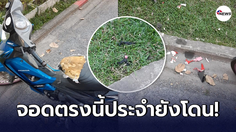 หญิงสาวโกรธเป็นฟืนเป็นไฟ เอารถมาจอดในที่ประจำ กลับมาดูเจอสภาพสุดเละ หญิงสาวโกรธเป็นฟืนเป็นไฟ เอารถมาจอดในที่ประจำ กลับมาดูเจอสภาพสุดเละ