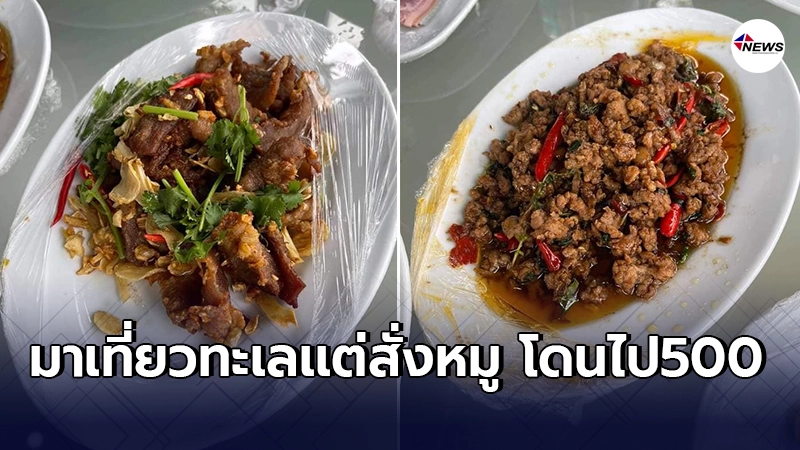 รีสอร์ทเกาะช้างเล่นหนัก คิด500 ลูกค้างงสั่งเเค่กะเพราหมู,หมูกระเทียม รีสอร์ทเกาะช้างเล่นหนัก คิด500 ลูกค้างงสั่งเเค่กะเพราหมู,หมูกระเทียม