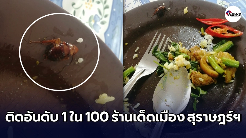 หนุ่มรับไม่ได้ เข้าร้านติดอันดับ 1 ใน 100 ร้านเด็ดเมือง สุราษฎร์ฯ หนุ่มรับไม่ได้ เข้าร้านติดอันดับ 1 ใน 100 ร้านเด็ดเมือง สุราษฎร์ฯ