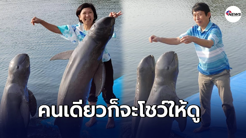 เจ้าของโอเอซิสเวิลด์ ยอมขายที่ 40ไร่ ต่อลมหายใจของสัตว์