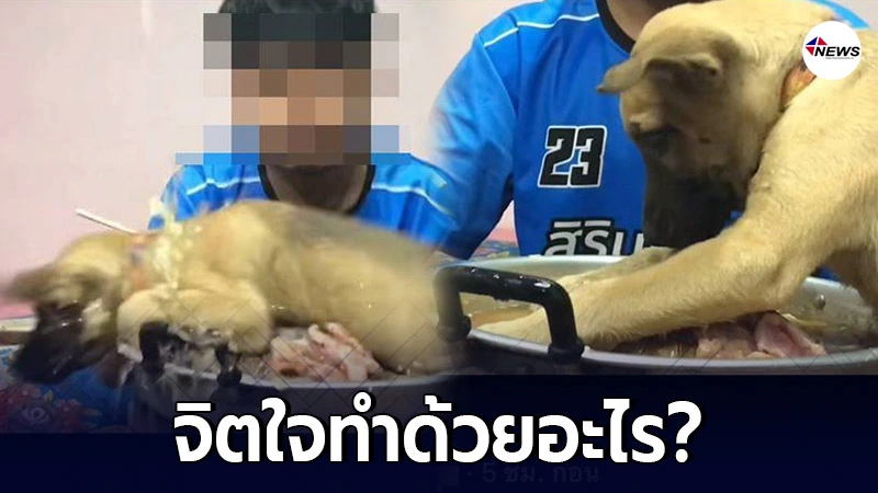 หนุ่มอัดคลิปกินหมูกระทะ ลูกหมาโดดใส่เตา ก่อนโดนชาวเน็ตถล่มยับ หนุ่มอัดคลิปกินหมูกระทะ ลูกหมาโดดใส่เตา ก่อนโดนชาวเน็ตถล่มยับ