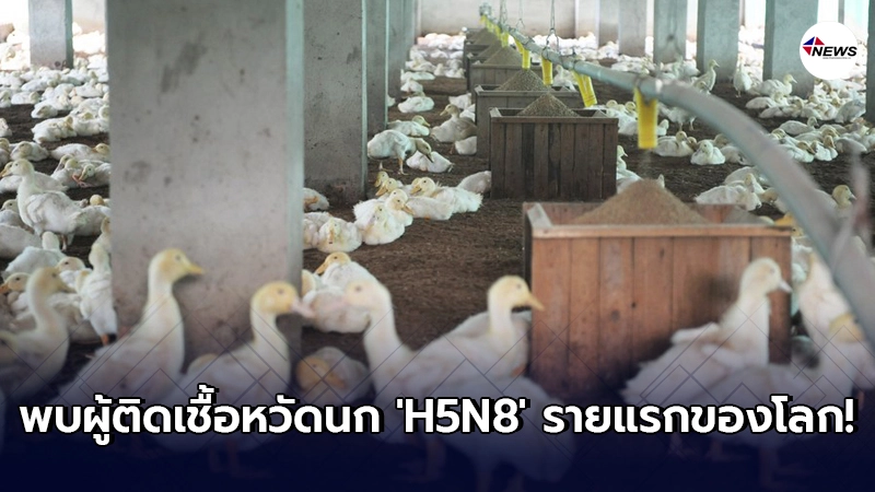 รัสเซีย พบผู้ติดเชื้อหวัดนก ‘H5N8’ รายแรกของโลก รัสเซีย พบผู้ติดเชื้อหวัดนก ‘H5N8’ รายแรกของโลก