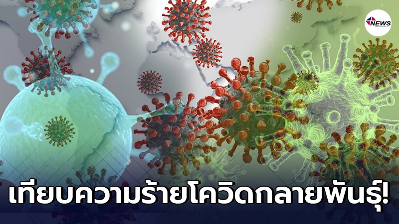 เทียบชัดๆ ความร้ายกาจ โควิดกลายพันธุ์ 3 ชนิด เทียบชัดๆ ความร้ายกาจ โควิดกลายพันธุ์ 3 ชนิด
