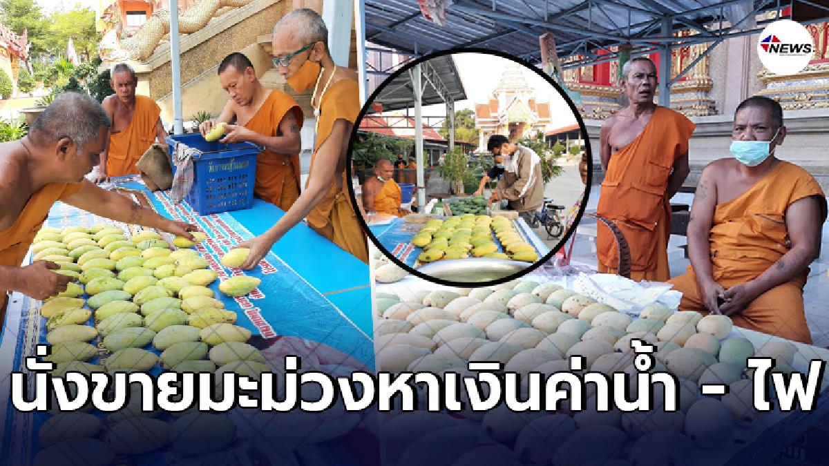 หลวงพ่อวัดบางหญ้าแพรก พร้อมใจวางตาลปัตร มานั่งขายมะม่วงน้ำดอกไม้ หลวงพ่อวัดบางหญ้าแพรก พร้อมใจวางตาลปัตร มานั่งขายมะม่วงน้ำดอกไม้