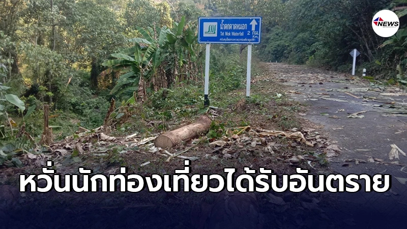 ช้างป่าอาละวาดออกหากิน อุทยานแห่งชาติตาดหมอก ปิดการท่องเที่ยวชั่วคราว ช้างป่าอาละวาดออกหากิน อุทยานแห่งชาติตาดหมอก ปิดการท่องเที่ยวชั่วคราว