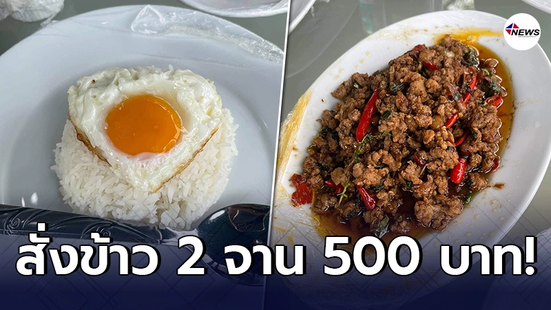 สาวรับไม่ได้ สั่งกะเพรา-หมูทอด ที่รีสอร์ตในเกาะช้าง 2 จาน 500 บาท สาวรับไม่ได้ สั่งกะเพรา-หมูทอด ที่รีสอร์ตในเกาะช้าง 2 จาน 500 บาท