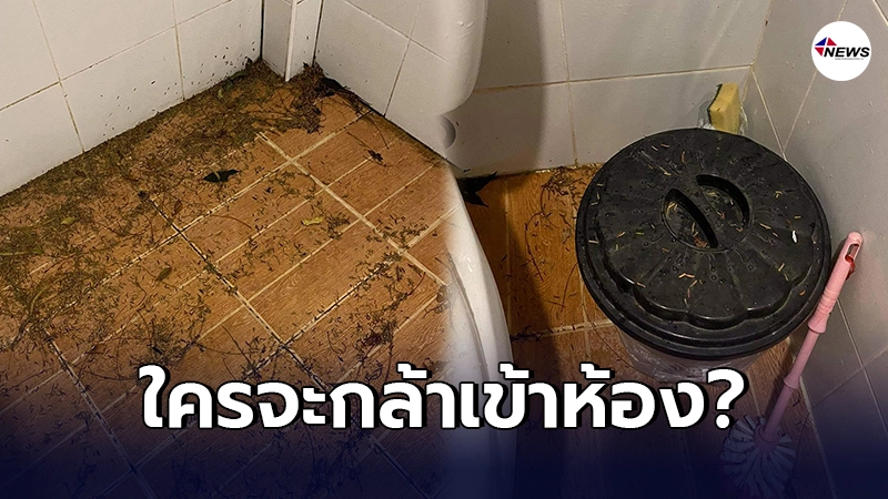 หญิงสาวจ่าย 1,700 หวังพักผ่อนกับครอบครัว ก่อนเห็นสภาพห้องทำเอาหลอน หญิงสาวจ่าย 1,700 หวังพักผ่อนกับครอบครัว ก่อนเห็นสภาพห้องทำเอาหลอน
