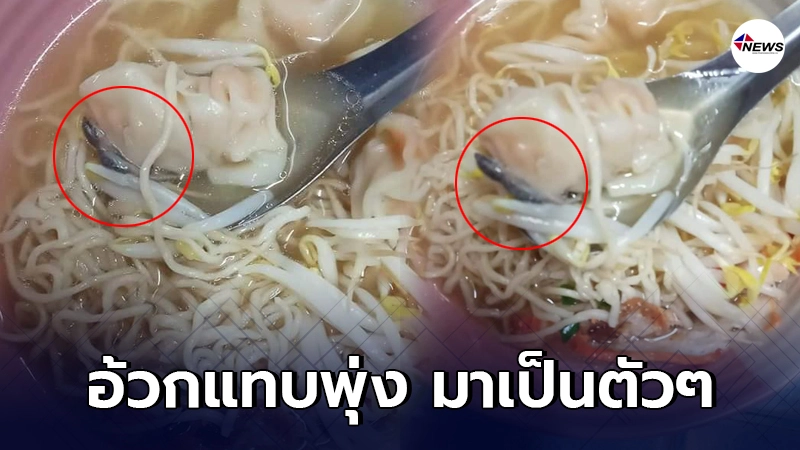 สาวอ้วกแทบพุ่ง อวสานบะหมี่เกี๊ยวแถมจิ้งจกมาเป็นตัวๆ สาวอ้วกแทบพุ่ง อวสานบะหมี่เกี๊ยวแถมจิ้งจกมาเป็นตัวๆ