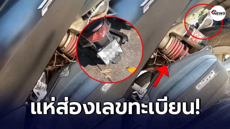หนุุ่มโพสต์ นกบินมาทำรัง วางไข่ใต้ล้อมอเตอร์ไซค์ เชื่อมาให้โชค หนุุ่มโพสต์ นกบินมาทำรัง วางไข่ใต้ล้อมอเตอร์ไซค์ เชื่อมาให้โชค