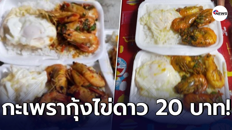 หนุ่มเผยพิกัด ซื้อกะเพรากุ้งไข่ดาว ตัวใหญ่เน้นๆ แค่กล่องละ 20 บาท หนุ่มเผยพิกัด ซื้อกะเพรากุ้งไข่ดาว ตัวใหญ่เน้นๆ แค่กล่องละ 20 บาท