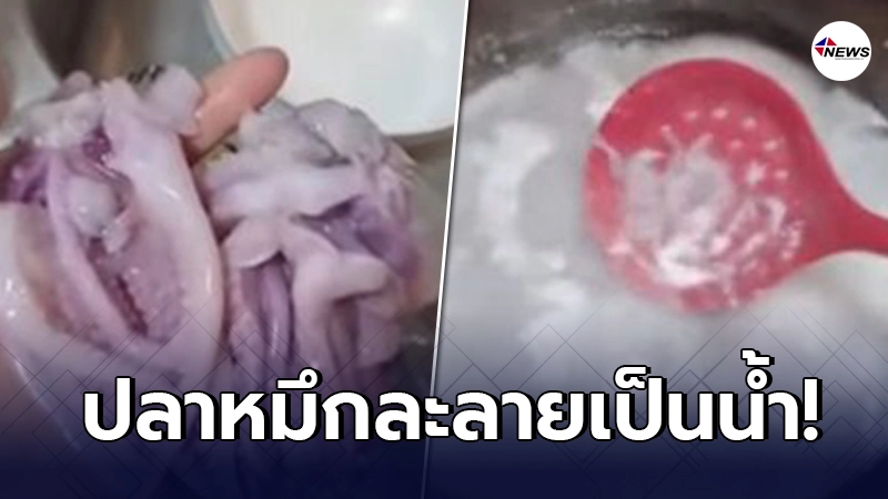 สาวจีนสุดงง ซื้อปลาหมึกจากตลาดมาต้ม ผ่านไป 8 นาที ละลายกลายเป็นน้ำ สาวจีนสุดงง ซื้อปลาหมึกจากตลาดมาต้ม ผ่านไป 8 นาที ละลายกลายเป็นน้ำ