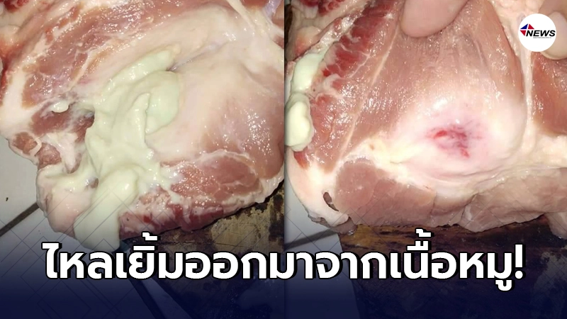 สาวร้องลั่น ซื้อเนื้อหมูมาจากตลาดสด ผ่าออกดูเจอวุ้นขาวไหลเยิ้ม