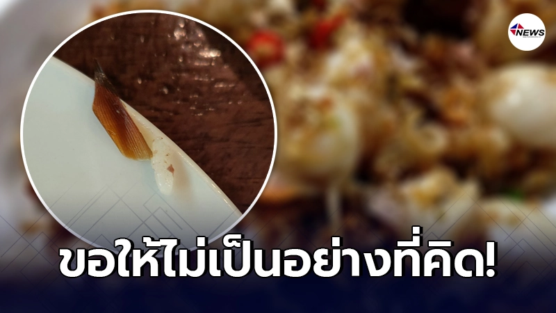 ลูกค้าสาวกำลังเคี้ยว "หอยเชลล์ผัดพริกเกลือ" กลับเจอชิ้นส่วนคล้ายปีก ลูกค้าสาวกำลังเคี้ยว "หอยเชลล์ผัดพริกเกลือ" กลับเจอชิ้นส่วนคล้ายปีก