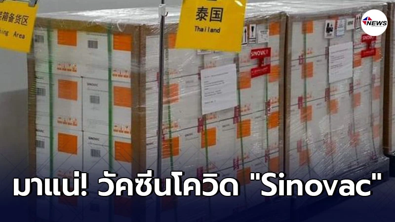 มาแน วัคซีนโควิด "Sinovac" ถึงไทยล็อตแรก 24 ก.พ.นี้ . มาแน วัคซีนโควิด "Sinovac" ถึงไทยล็อตแรก 24 ก.พ.นี้ .