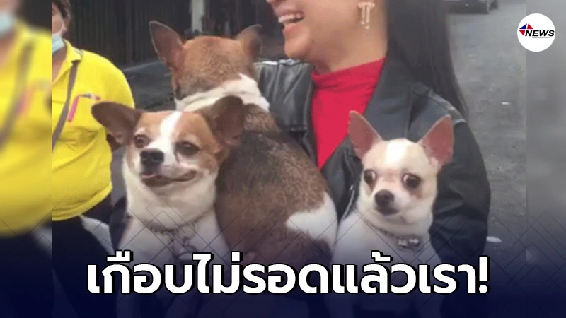 ไฟไหม้ศาลแปะกง ลามไหม้บ้าน เพื่อนบ้านทุบกุญแจ ช่วยชีวิต 3 ชิวาว่า