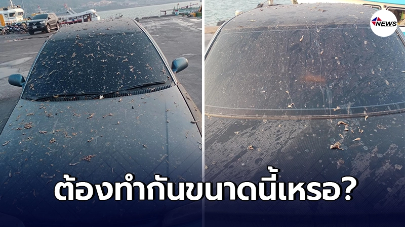 หนุ่มจอดรถผิดที่ เจอเจ้าถิ่นสาดน้ำปลาเน่าใส่เต็มรถ เลอะเทอะไปทั้งคัน หนุ่มจอดรถผิดที่ เจอเจ้าถิ่นสาดน้ำปลาเน่าใส่เต็มรถ เลอะเทอะไปทั้งคัน