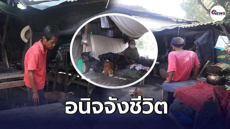 คุณลุงชีวิตสุดลำบาก อาศัยกระต๊อบสภาพผุพังหาเลี้ยงเมียป่วย-สุนัข 14 ตัว คุณลุงชีวิตสุดลำบาก อาศัยกระต๊อบสภาพผุพังหาเลี้ยงเมียป่วย-สุนัข 14 ตัว