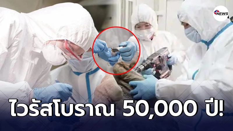 นักวิจัยรัสเซีย เตรียมสกัดไวรัสโบราณ จากซากสัตว์ 50,000 ปี นักวิจัยรัสเซีย เตรียมสกัดไวรัสโบราณ จากซากสัตว์ 50,000 ปี