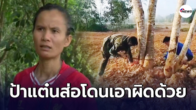 ป้าแต๋น ส่อโดนด้วย คลิปลุงพลโค่นกระถินป่าจ่อถูกดำเนินคดีมีความผิดร่วม ป้าแต๋น ส่อโดนด้วย คลิปลุงพลโค่นกระถินป่าจ่อถูกดำเนินคดีมีความผิดร่วม