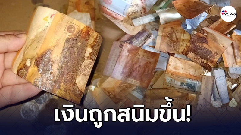 เข่าแทบทรุด สาวเก็บธนบัตรใส่กระป๋อง ตั้งใจแกะออกมานับ สุดท้ายสภาพเน่าสุด เข่าแทบทรุด สาวเก็บธนบัตรใส่กระป๋อง ตั้งใจแกะออกมานับ สุดท้ายสภาพเน่าสุด