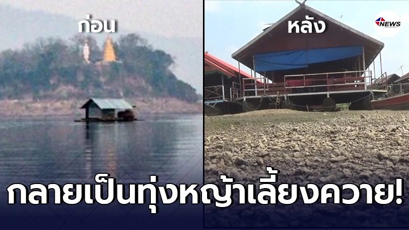 เปิดภาพ ทะเลสาบดอยเต่า น้ำแห้งเหือด กลายเป็นทุ่งหญ้า หลังเจอภัยแล้ง เปิดภาพ ทะเลสาบดอยเต่า น้ำแห้งเหือด กลายเป็นทุ่งหญ้า หลังเจอภัยแล้ง
