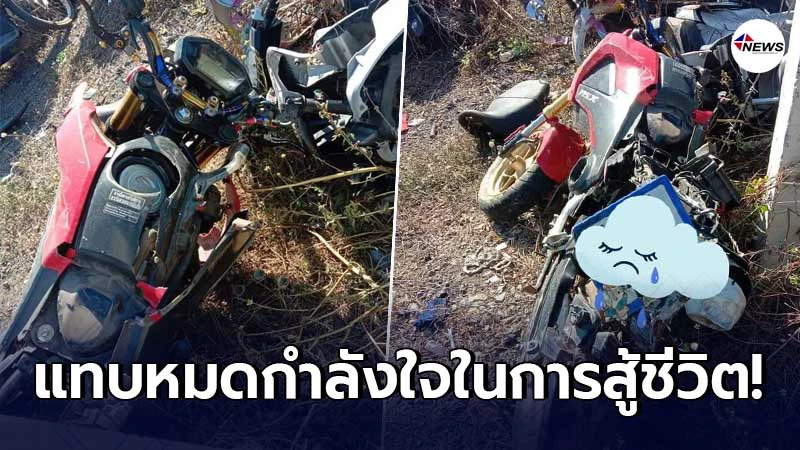 สาวสุดซ้ำจ่ายค่างวดมอเตอร์ไซค์หมดปุ๊บโดนชนปั๊บ คู่กรณีชดใช้แค่รถมือสอง สาวสุดซ้ำจ่ายค่างวดมอเตอร์ไซค์หมดปุ๊บโดนชนปั๊บ คู่กรณีชดใช้แค่รถมือสอง