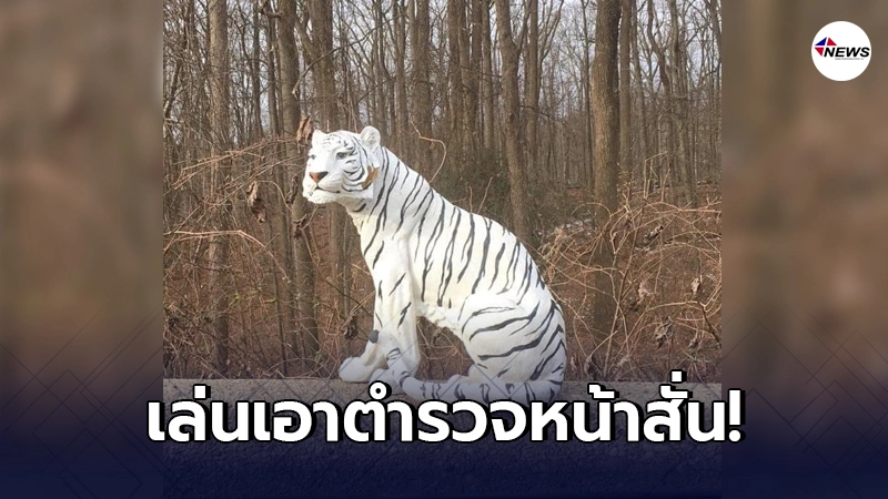 ชาวบ้านผวา เจอ"เสือขาว"ข้างทาง รีบแจ้งตำรวจ ก่อนเกิดเรื่องโอละพ่อ ชาวบ้านผวา เจอ"เสือขาว"ข้างทาง รีบแจ้งตำรวจ ก่อนเกิดเรื่องโอละพ่อ