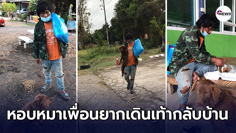 หนุ่มตกงาน ไร้เงิน หอบหมาสุดรักเดินเท้ากลับบ้านเกิด
