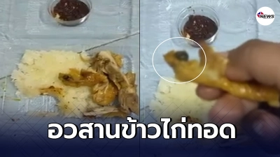 สาวแทบอ้วก ซื้อข้าวกล่องเจอเห็บหมาแถมติดมาในไก่ทอด ขนลุกจนกินไม่ลง สาวแทบอ้วก ซื้อข้าวกล่องเจอเห็บหมาแถมติดมาในไก่ทอด ขนลุกจนกินไม่ลง